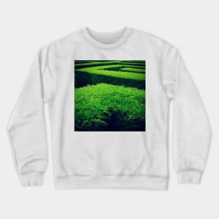 Maze Crewneck Sweatshirt